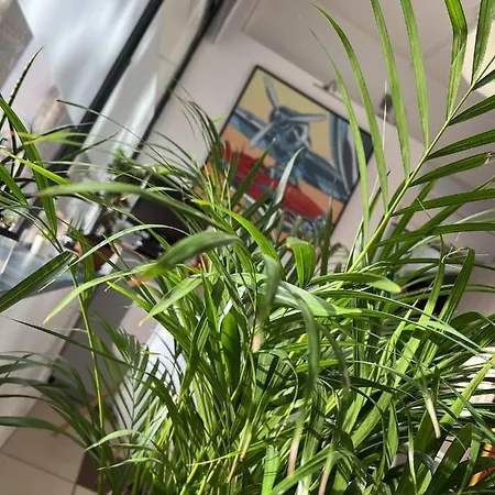 Hotel Vieille Tour Centre Rouen